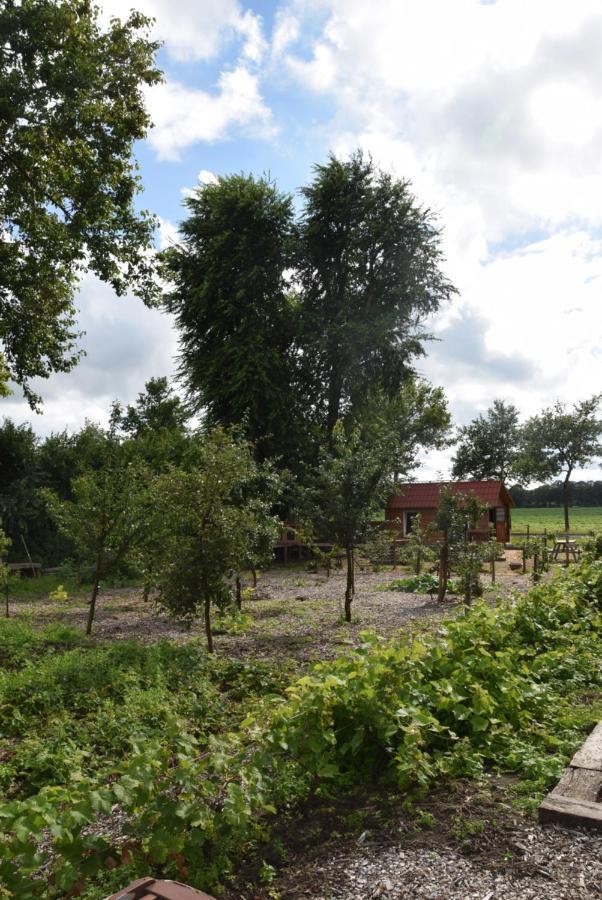 Hoeve Delshorst Heibloem Exteriér fotografie