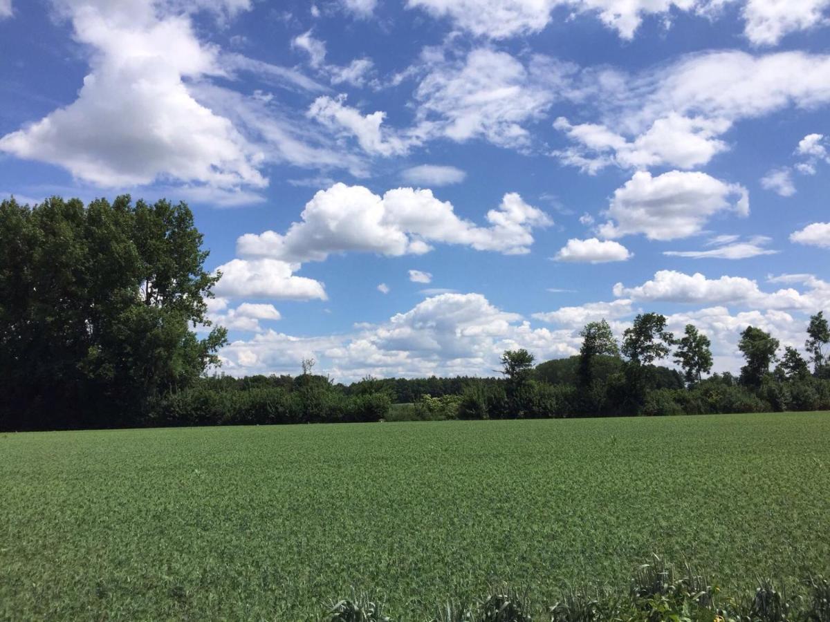 Hoeve Delshorst Heibloem Exteriér fotografie