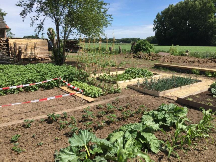 Hoeve Delshorst Heibloem Exteriér fotografie