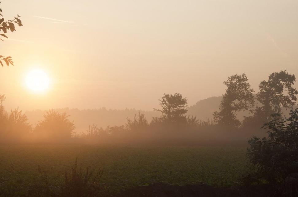 Hoeve Delshorst Heibloem Exteriér fotografie