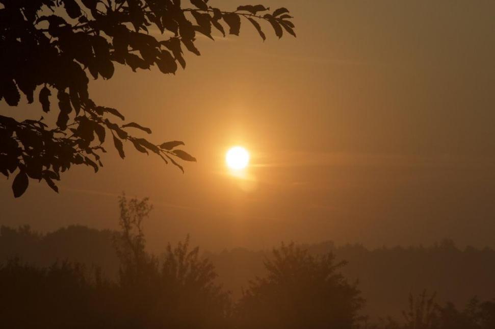 Hoeve Delshorst Heibloem Exteriér fotografie